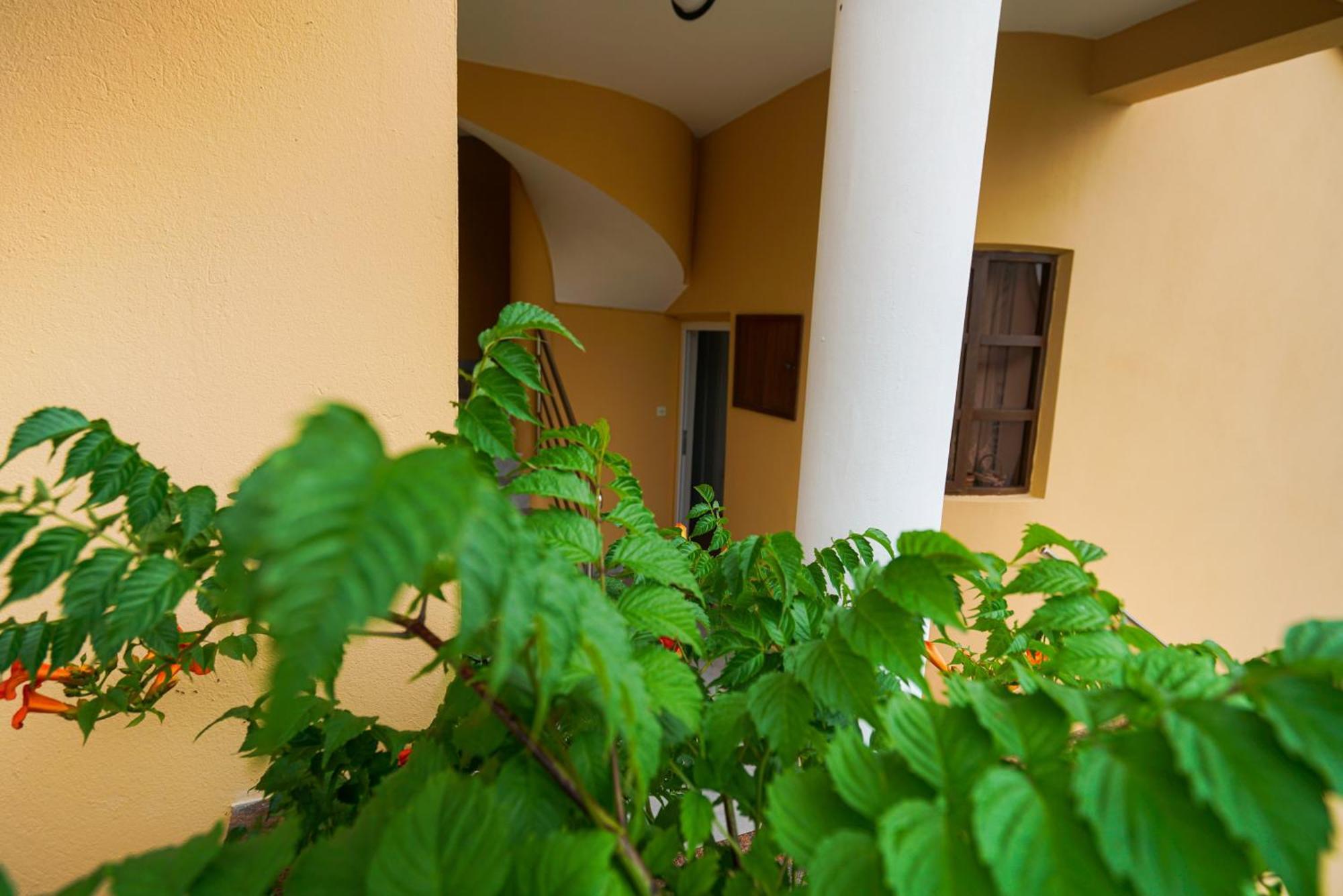 Apartments Osljak Preko Ngoại thất bức ảnh